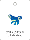 アメノヒグラシ