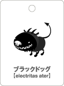 ブラックドッグ