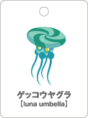 ゲッコウヤグラ