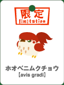 ホオベニムクチョウ