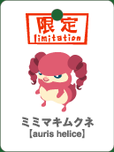 ミミマキムクネ