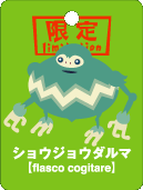 ショウジョウダルマ