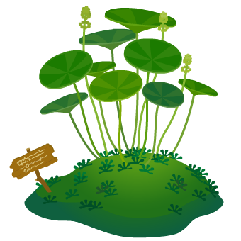 �E�H�[�^�[�}�b�V�����[����