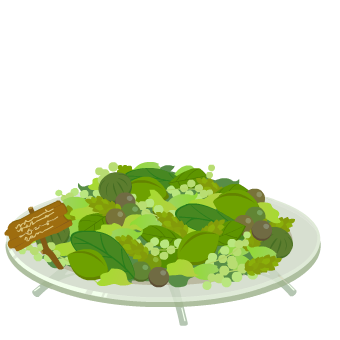 �|�v�����E��