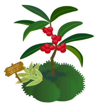 �����̓�