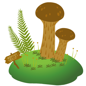 �}�c�^�P�̓�