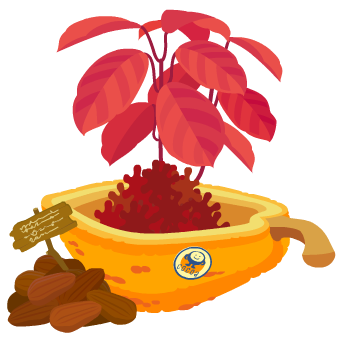 �J�J�I��cocoa��